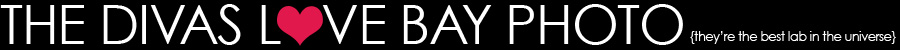 divas-love-bay-photo
